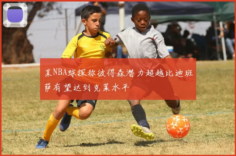 某NBA球探称彼得森潜力超越比迪班萨有望达到克莱水平